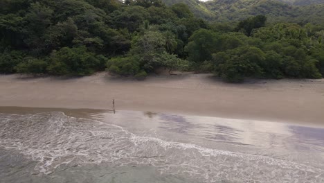 Fliegen-Sie-In-Der-Luft-An-Einer-Einzelnen-Frau-Vorbei,-Die-Am-Strand-Spazieren-Geht-Und-Weiter-In-Die-Bäume-Führt