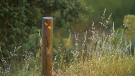 pedestrian trail marking in nature