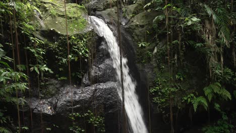 goa gojah temple waterfall tropical jungle water cascade ubud bali indonesia dense canopy