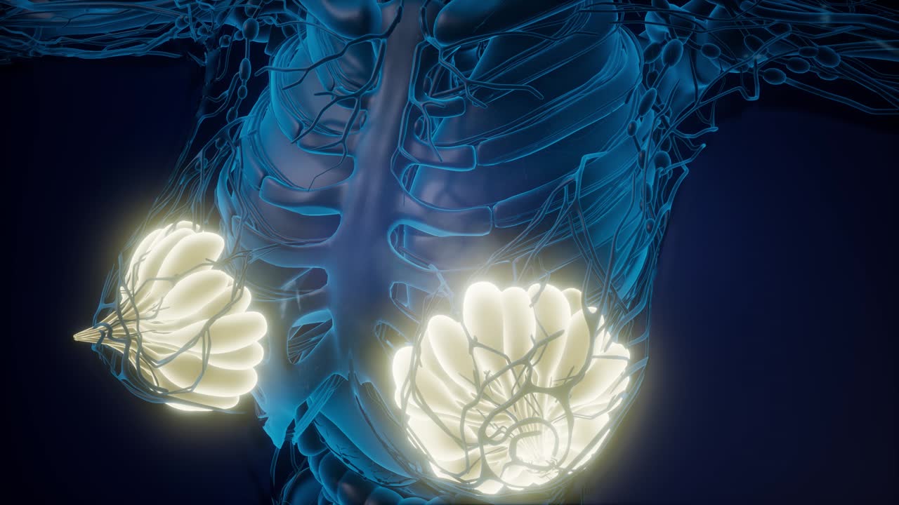 눈에 보이는 빛을 가진 인간의 몸 유방선