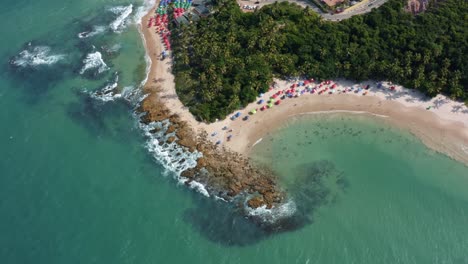 Rotating-aerial-drone-bird's-eye-extreme-wide-shot-of-the-tropical-Coquerinhos-beach-with-colorful-umbrellas,-palm-trees,-golden-sand,-turquoise-water,-and-tourist's-swimming-in-Conde,-Paraiba,-Brazil