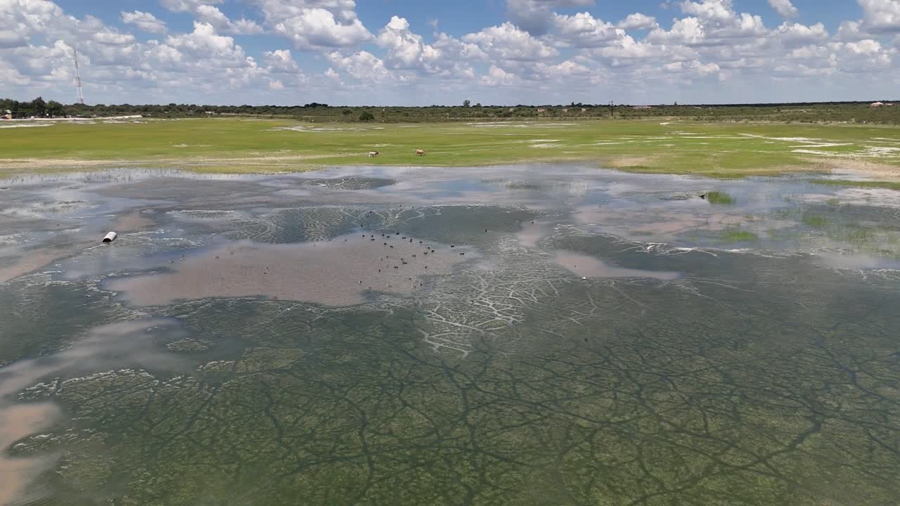 4K – ilmakuva Kalkfonteinin kylästä, jossa näkyy vihreää kasvillisuutta ja järvi sekä ankkoja uimassa afrikkalaisessa kylässä – Botswana