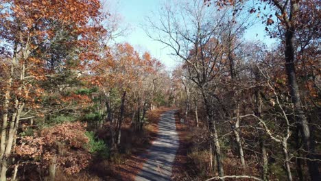 Aerial-dolly-along-empty-forest-road-in-late-fall-under-daylight