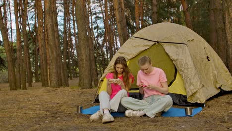 friends camping and using smartphones