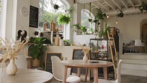 General-view-of-modern-cafe-with-counter,-tables,-chairs-and-plants