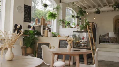 vista general de una cafetería moderna con mostrador, mesas, sillas y plantas