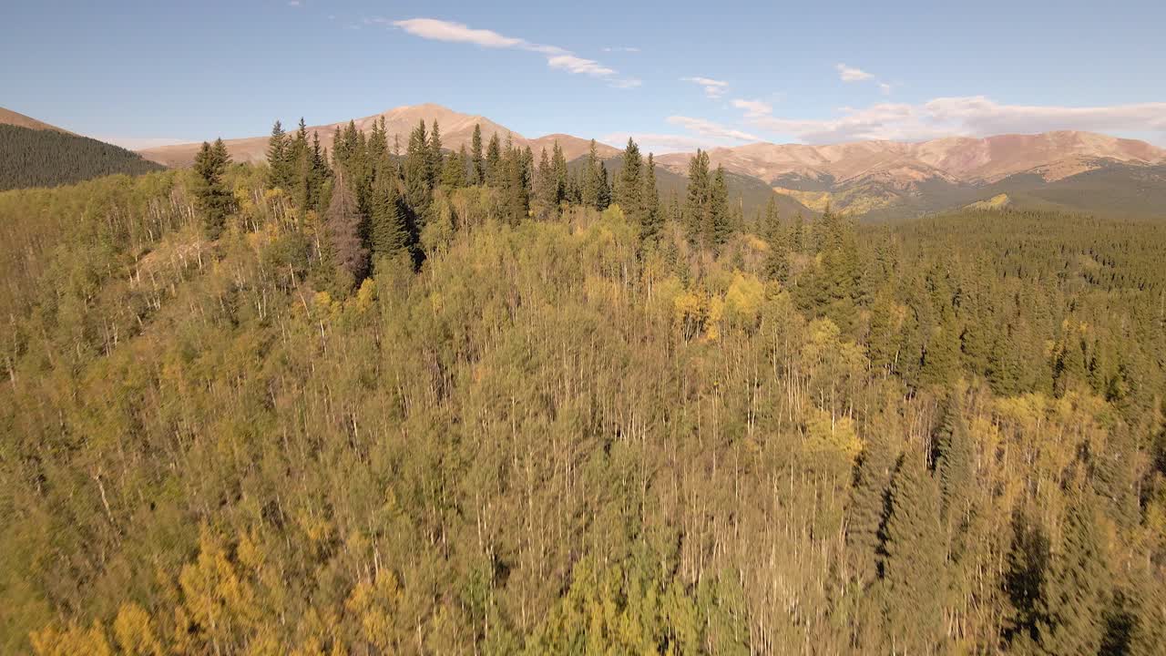 Vista aerea che sorvola un remoto crinale di pioppi tremuli per rivelare una strada distante e il Mount Silverheels.