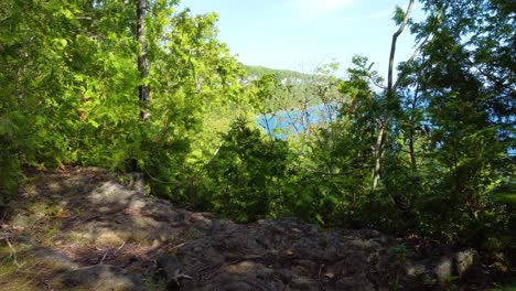 Aerial-forward-shot-of-Beautiful-rocky-beach-on-Georgian-Bay,-Ontario,-Canada