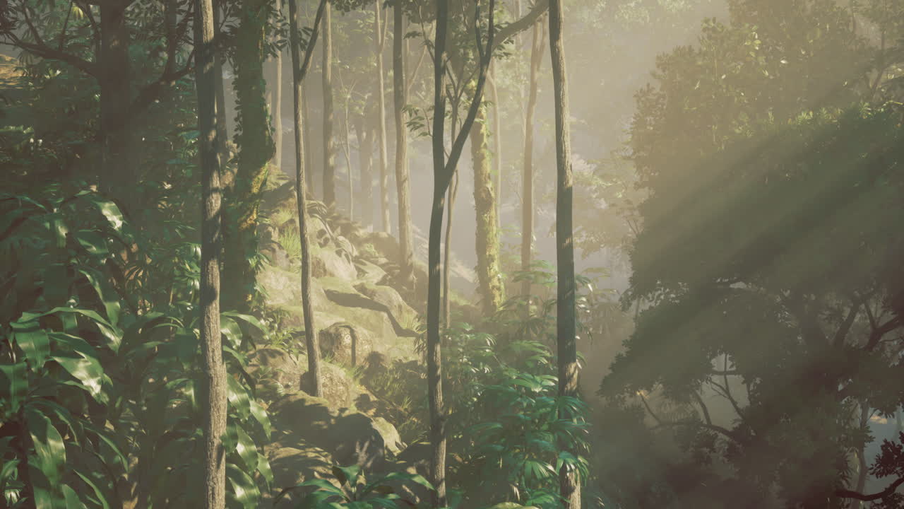 Sunlight filters through lush foliage in a serene forest setting