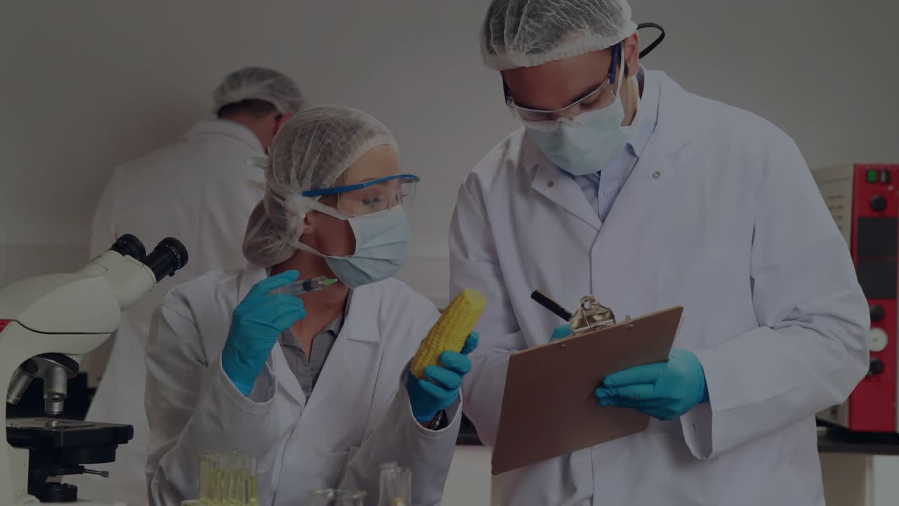 Scienziata che sposta una pipetta verso il mais, innescando una sovrapposizione viola mentre un collega annota i dati dei test alimentari