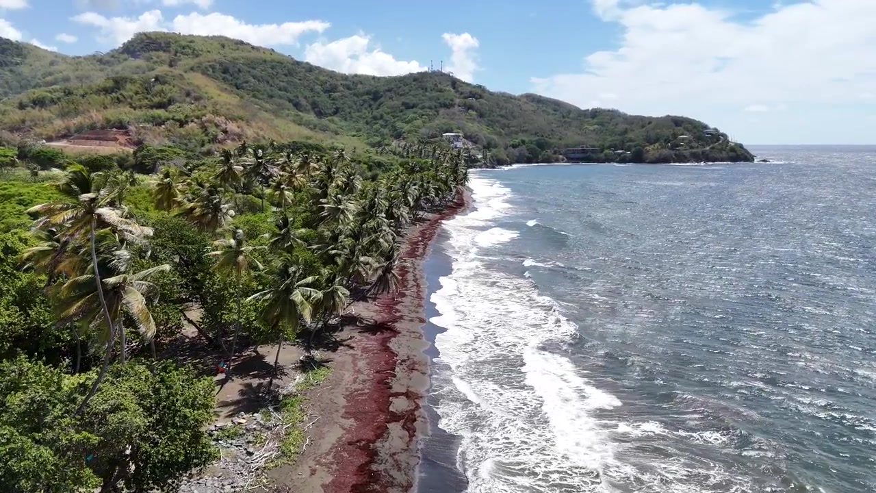Veduta aerea con drone della costa a Granby Fort. Il Mar dei Caraibi turchese incontra il promontorio roccioso vulcanico e le palme dell'isola di Tobago, Trinidad e Tobago.