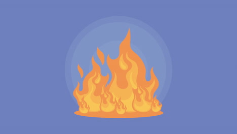 fire flame burning nature animation