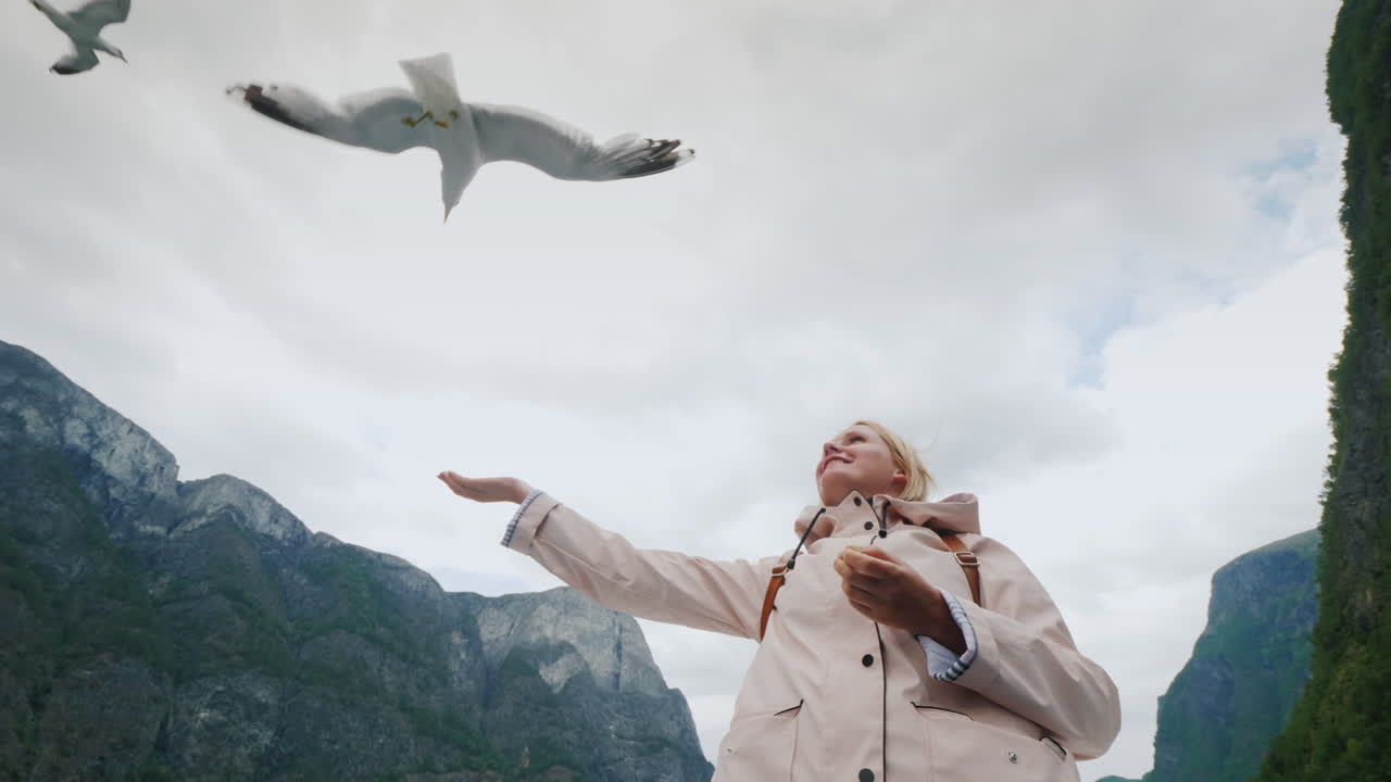 한 여성이 믿음으로 날아가는 갈매기에게 먹이를 주고 피요르드를 통과하는 개념 여행을 길들입니다.