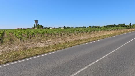 scenic drive through vineyards under clear skies