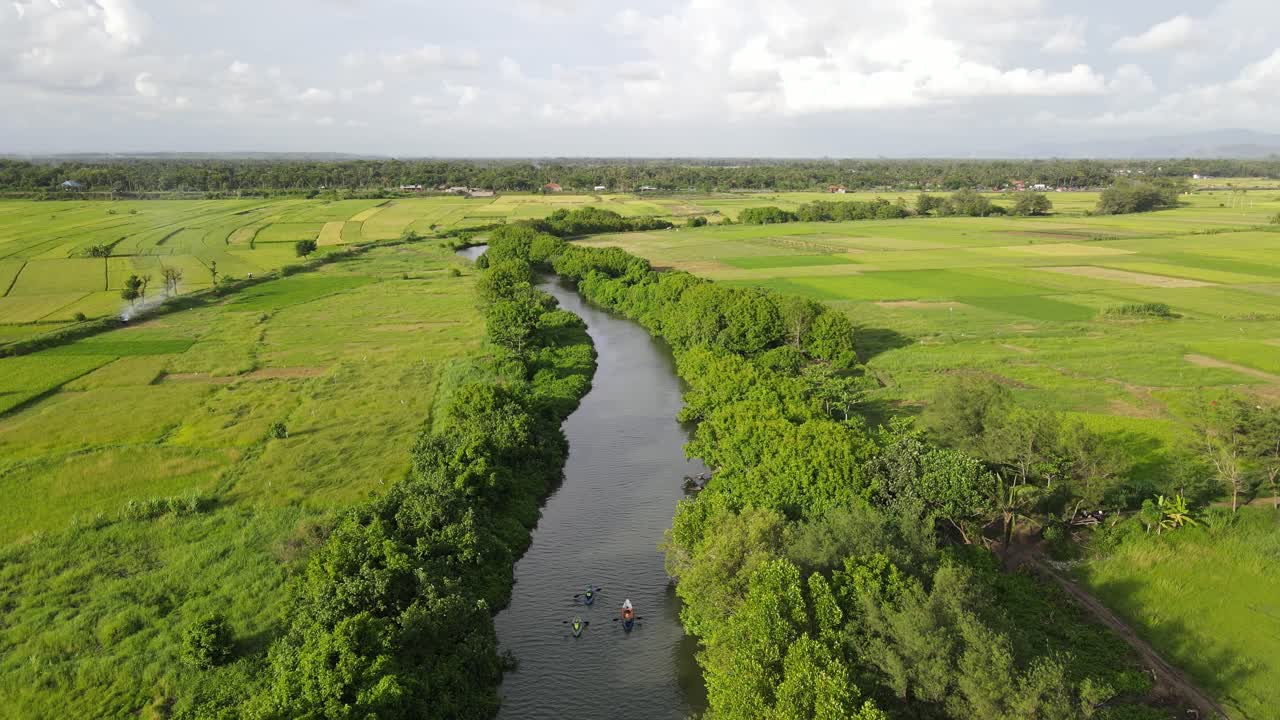 vista aérea, piragüismo en un río con gruesas orillas de árboles y campos de arroz