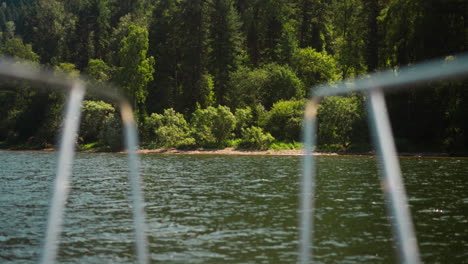 amazing virgin forest on bank of large tranquil lake view from boat stern. travelling by yacht to wild nature paradise on summer vacation. water journey