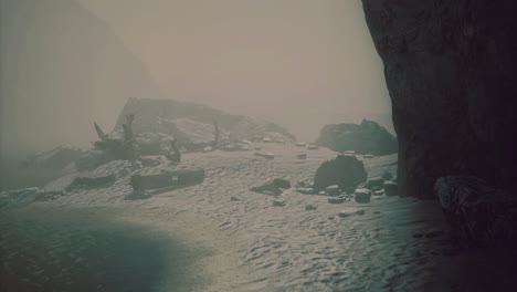 misty shoreline with rocks and a serene atmosphere at dawn