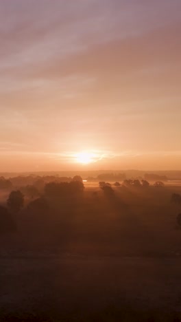 el amanecer sobre un paisaje brumoso