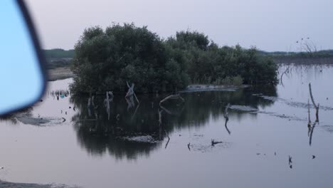 Aerial-shot-of-mangrove-deforestation-in-karahi