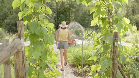 jib shot of a beautiful female farmer entering the garden to harvest vegetables