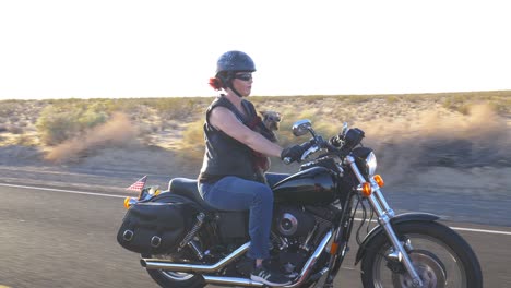 woman motorcyclist with dog