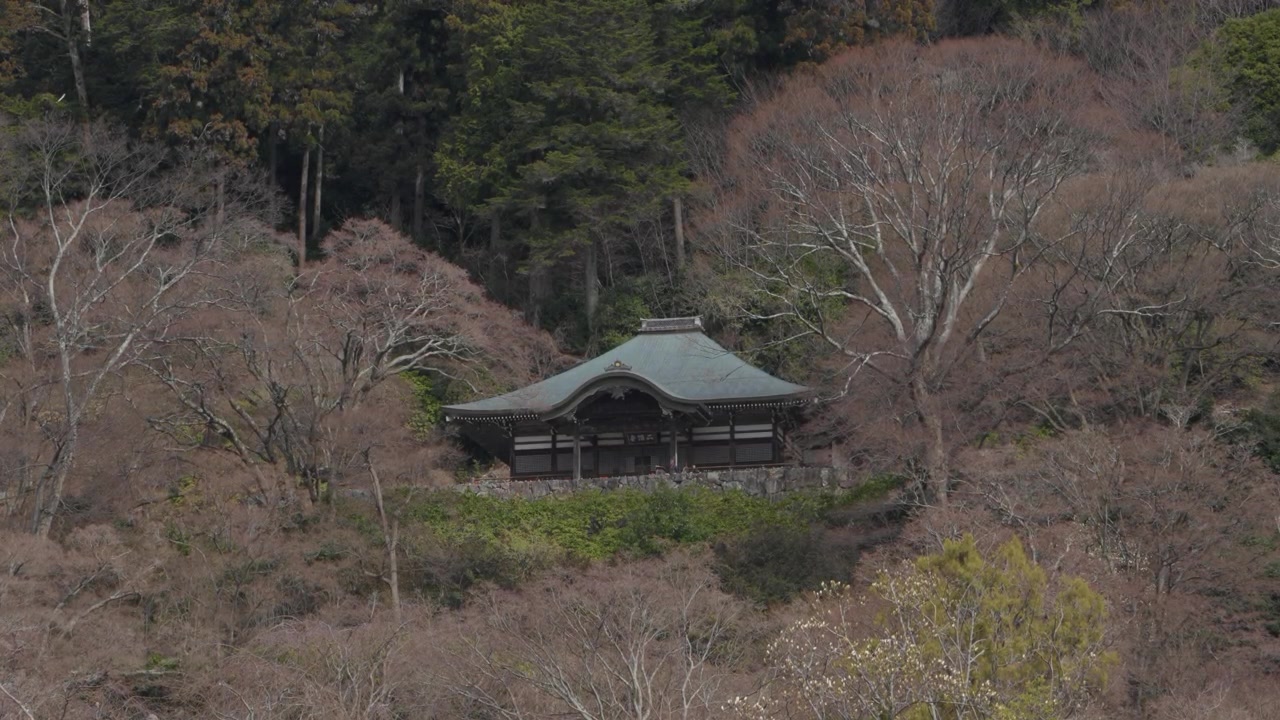 Balai kuil Buddha dengan atap melengkung yang tersembunyi di lereng gunung berhutan di Kyoto, Jepang