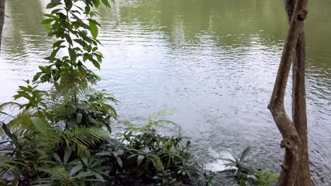 El-Paisajismo-De-árboles-Con-Pequeñas-Cascadas-Y-Variedad-De-Plantas,-El-Ambiente-Es-Fresco-Y-Claro