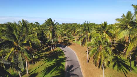 Vídeo-De-4.000-Drones-De-Una-Furgoneta-Conduciendo-Por-Una-Carretera-Que-Atraviesa-Un-Campo-De-Palmeras-En-El-Norte-Tropical-De-Queensland,-Australia