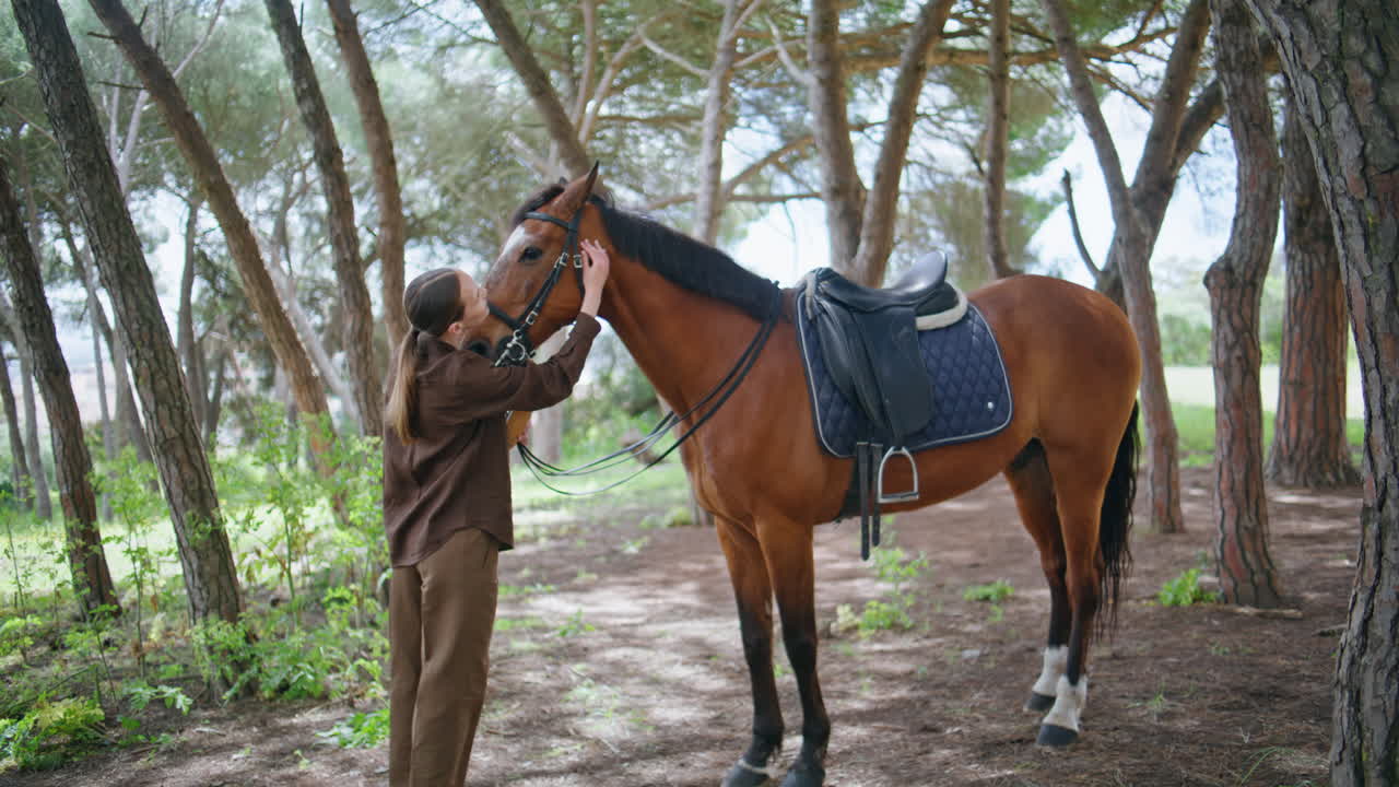 Young woman caressing horse at summer woodland. Cowgirl cleaning brown animal