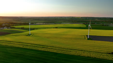 wind farm over blooming rapeseed fields in countryside, poland