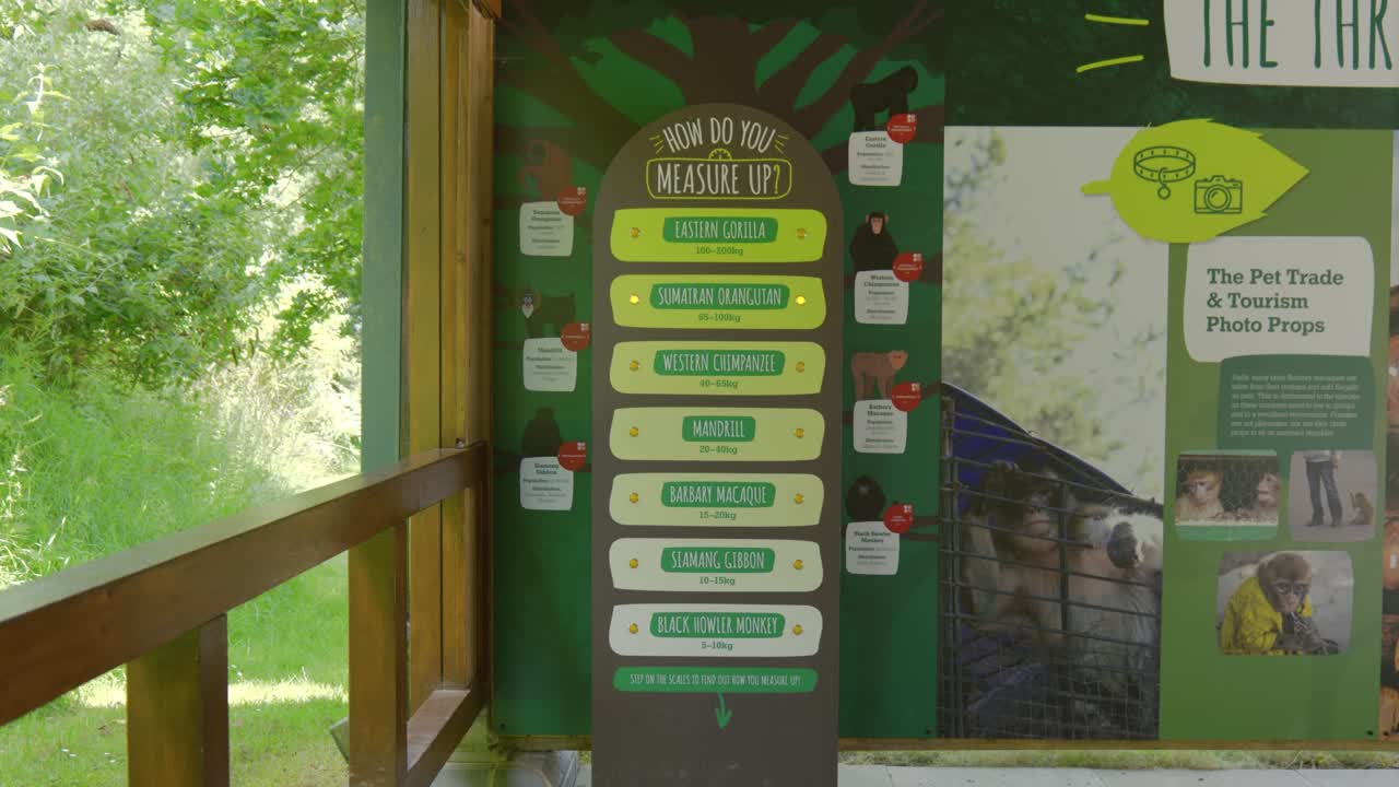 Educational Display Board on Primate Species and Weights at a Zoo