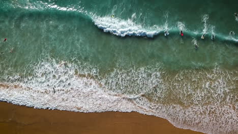 Aerial-drone-shot-of-surfers-lying-in-the-water,-catching-waves-rolling-in-on-a-beach-in-Algarve,-Portugal