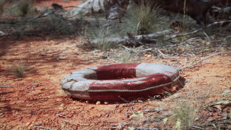 life ring buoy in desert beach