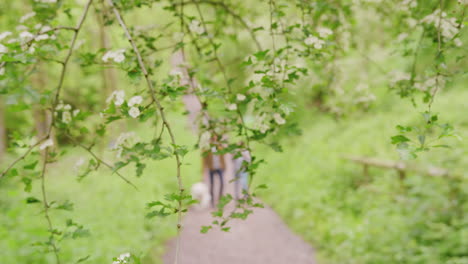 young couple hiking along path through trees in countryside with pet golden retriever dog on leash - shot in slow motion