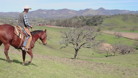 Walking-down-a-steap-hill,-the-camera-follows-the-horse-and-cowboy-in-a-full-shot