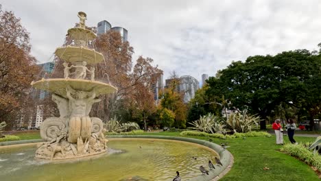 fuente con patos y personas en jardines