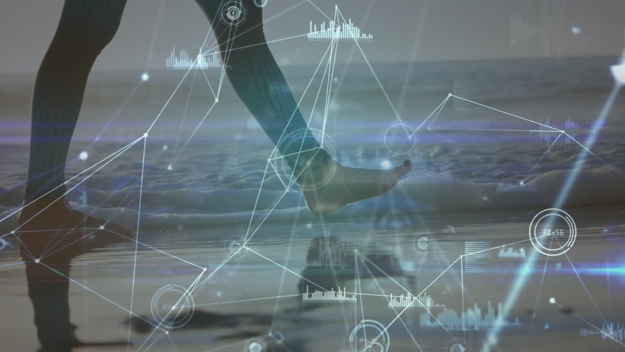 해변에서  ⁇ 는 백인 여성에 대한 데이터 처리 및 연결 네트워크의 애니메이션