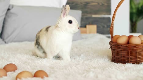 retrato del conejo de pascua con una canasta de huevos