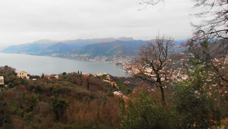 Antena:-La-Bahía-De-Camogli,-Pequeña-Ciudad-Junto-Al-Mar,-Vista-Desde-El-Monte-De-Portofino-Vetta,-Revelada-A-Través-De-árboles-Desnudos-En-Un-Día-Nublado