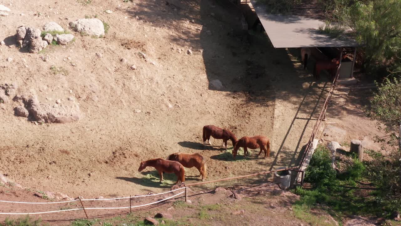 Close-up panning aerial shot of horses grazing at an equestrian riding school in Westlake Village, California. 4K at 30 FPS