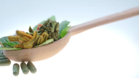 concepto de medicina a base de hierbas, homeopatía píldoras a base de hierbas, tratamiento natural
