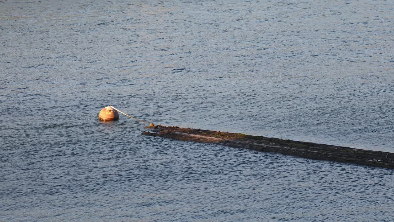 Marker buoy and wooden logs floating in water, drifting with river current