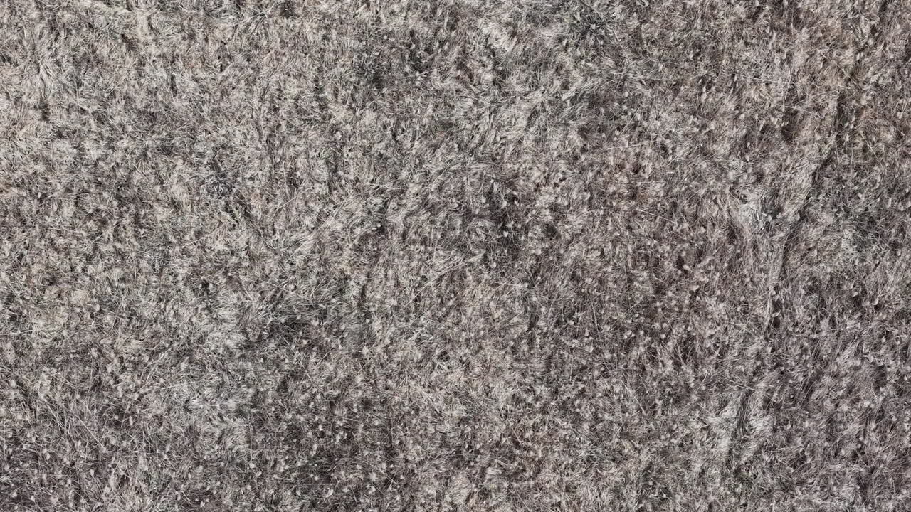 Et nærbilde viser den intrikate teksturen av tett, grått fibermateriale, egnet som en allsidig bakgrunn for designprosjekter.