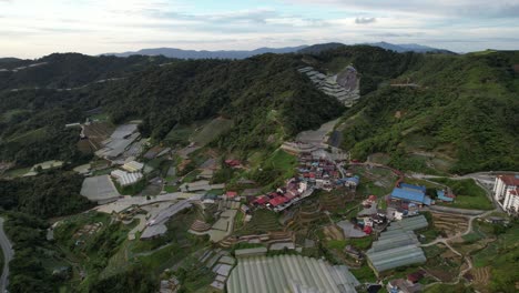 general landscape view of the brinchang district within the cameron highlands area of malaysia