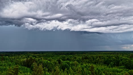 cumulonimbus clouds over the dense forest with green trees. - aerial pan shot