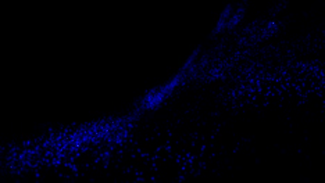 blue plankton wave particle pattern loop animation 4k video.