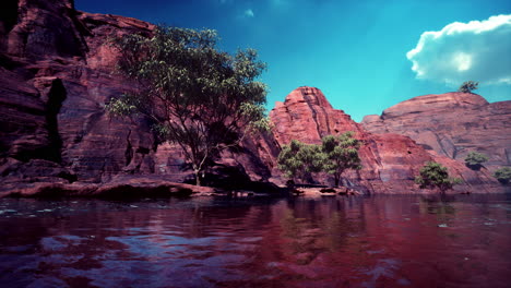 Colorado-River-Mit-Wunderschönen-Sandsteinwänden-Und-Schluchten