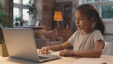 Brunette-Girl-Sitting-At-A-Desk-In-Front-Of-The-Computer-On-A-Video-Call-While-Taking-Notes,-Behind-Her-Mother-Sits-In-An-Armchair