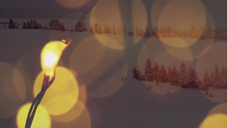 animation of spots of light over winter scenery with fir trees