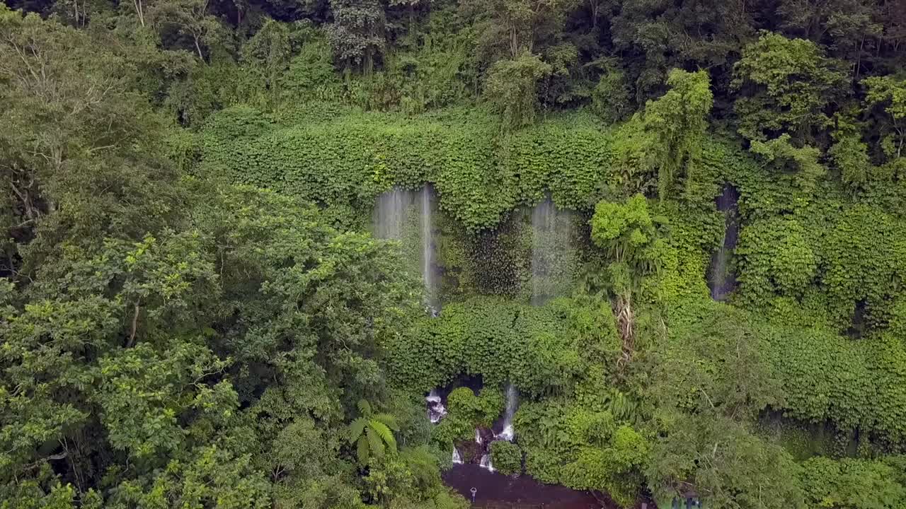 selva tropical amazónica y cascada